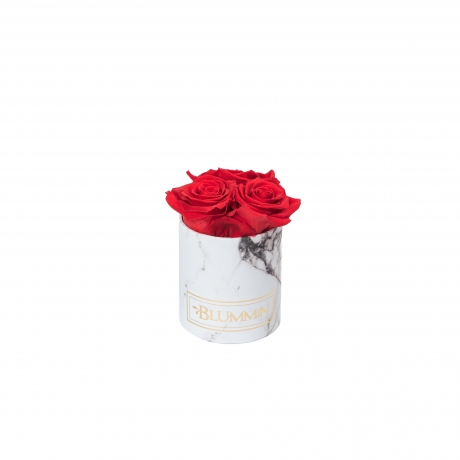 XS BLUMMiN - WHITE MARBLE BOX WITH VIBRANT RED ROSES