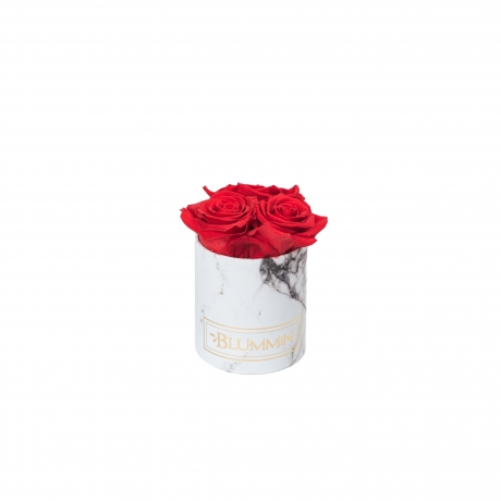 XS WHITE MARBLE BOX WITH VIBRANT RED ROSES