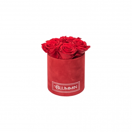 MIDI RED VELVET BOX WITH VIBRANT RED ROSES