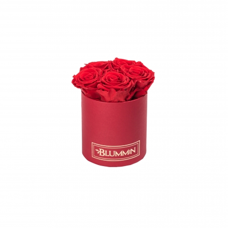 MIDI RED BOX WITH VIBRANT RED ROSES