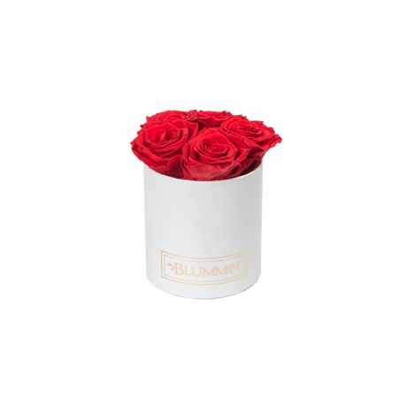 MIDI BLUMMiN WHITE BOX WITH  VIBRANT RED ROSES