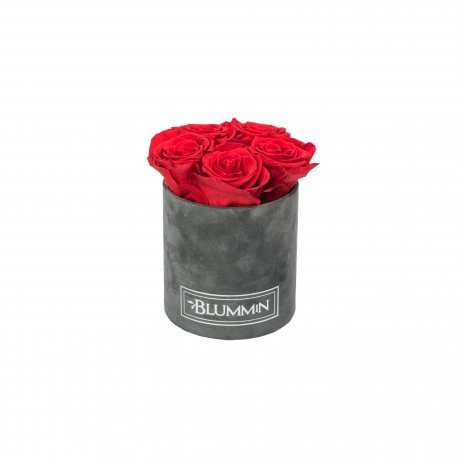 MIDI DARK GREY VELVET BOX WITH VIBRANT RED ROSES