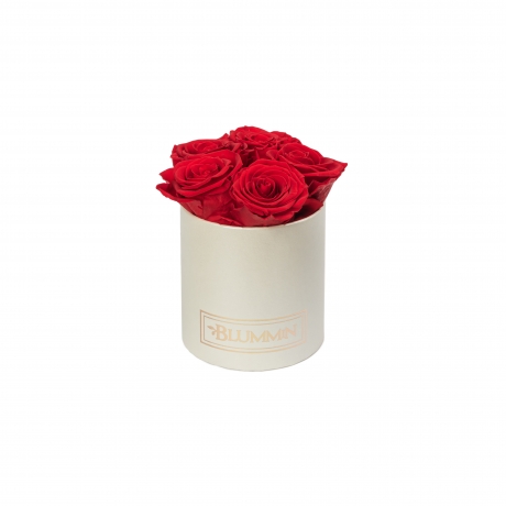 MIDI BLUMMiN CREAM BOX WITH  VIBRANT RED ROSES