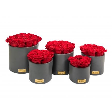 DARK GREY CERAMIC POT WITH VIBRANT RED ROSES