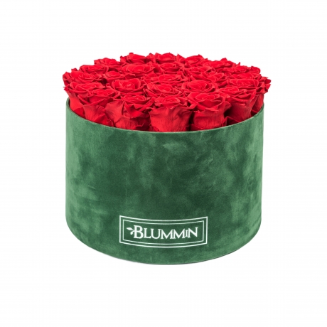 EXTRA LARGE BLUMMiN - ROHELINE SAMETKARP VIBRANT RED ROOSIDEGA