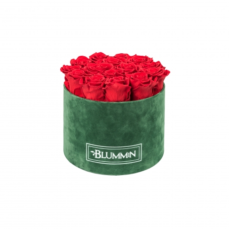 LARGE BLUMMiN - GREEN VELVET BOX WITH VIBRANT RED ROSES