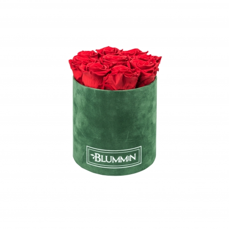 MEDIUM BLUMMiN - GREEN VELVET BOX WITH VIBRANT RED ROSES