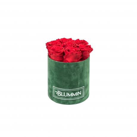 SMALL BLUMMiN - GREEN VELVET BOX WITH VIBRANT RED ROSES