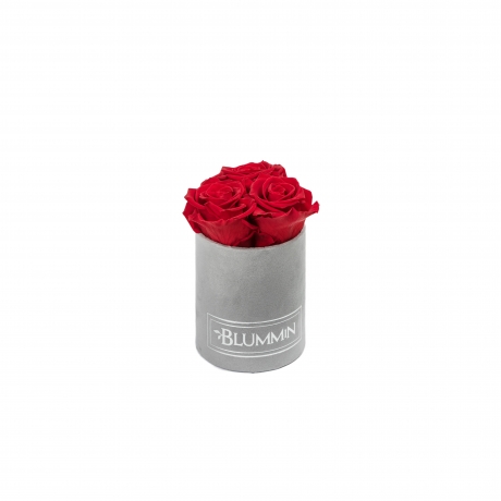 XS BLUMMiN - LIGHT GREY VELVET BOX WITH VIBRANT RED ROSES