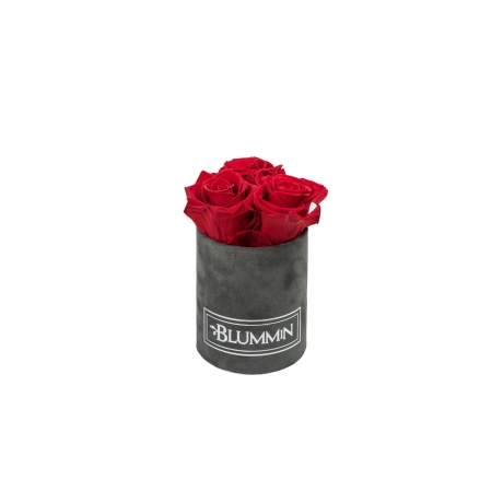 XS BLUMMIN - DARK GREY VELVET BOX WITH VIBRANT RED ROSES