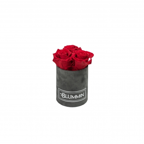 XS BLUMMiN - DARK GREY VELVET BOX WITH VIBRANT RED ROSES