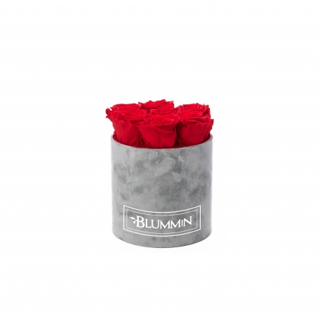 SMALL BLUMMiN - LIGHT GREY VELVET BOX WITH VIBRANT RED ROSES
