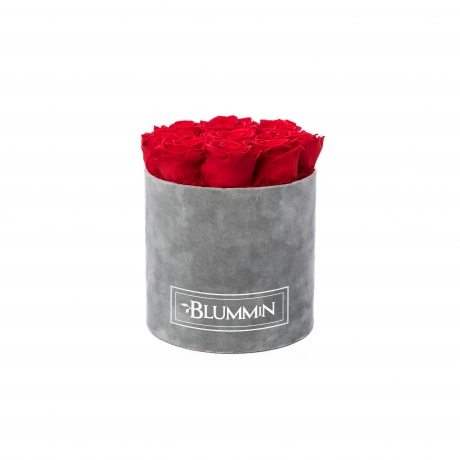  MEDIUM BLUMMIN LIGHT GREY VELVET BOX WITH VIBRANT RED ROSES