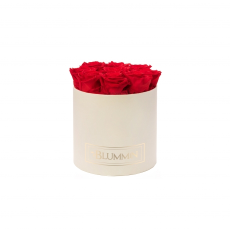  MEDIUM BLUMMIN CREAM BOX WITH VIBRANT RED ROSES