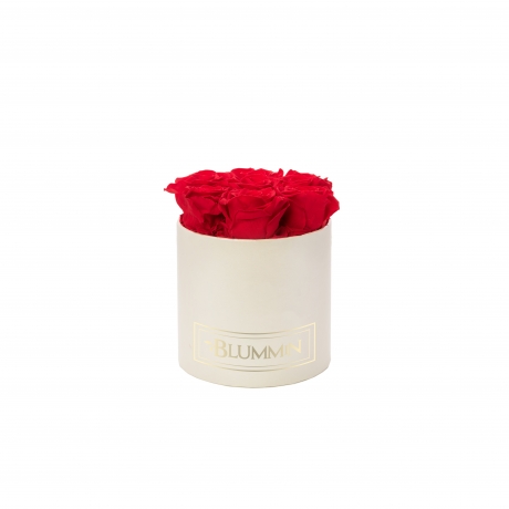 SMALL CLASSIC CREAM BOX WITH VIBRANT RED ROSES