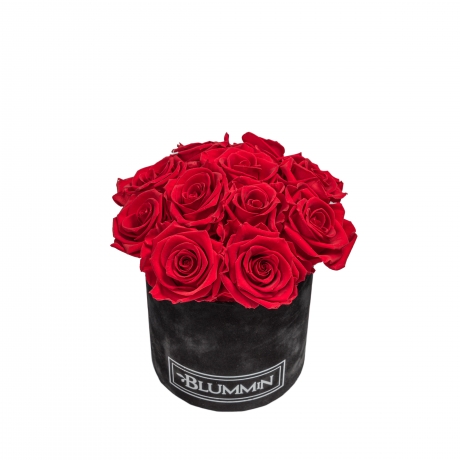 BOUQUET  WITH 11 ROSES - SMALL BLUMMIN BLACK VELVET BOX WITH VIBRANT RED ROSES