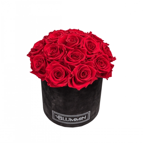  BOUQUET WITH 15 ROSES - MEDIUM BLACK VELVET BOX WITH VIBRANT RED ROSES