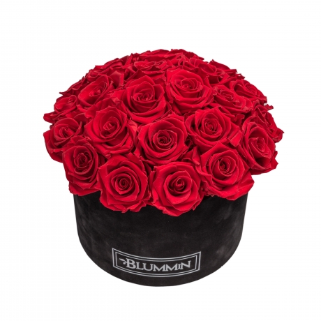 BOUQUET WITH 25 ROSES - LARGE BLUMMIN BLACK VELVET BOX WITH VIBRANT RED ROSES