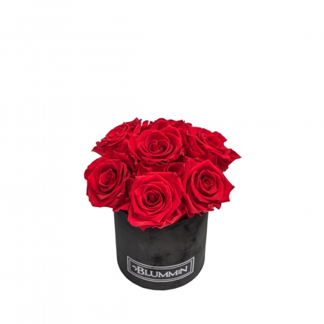 BOUQUET  WITH 7 ROSES - MIDI BLUMMIN BLACK VELVET BOX WITH VIBRANT RED ROSES