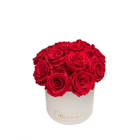 BOUQUET WITH 11 ROSES - SMALL CREAMY BOX WITH VIBRANT RED ROSES