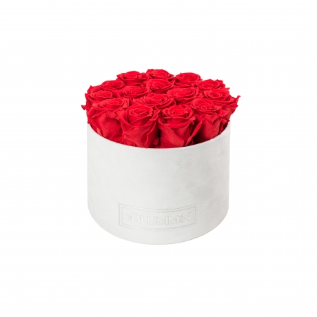 LARGE  WHITE VELVET BOX WITH VIBRANT RED ROSES