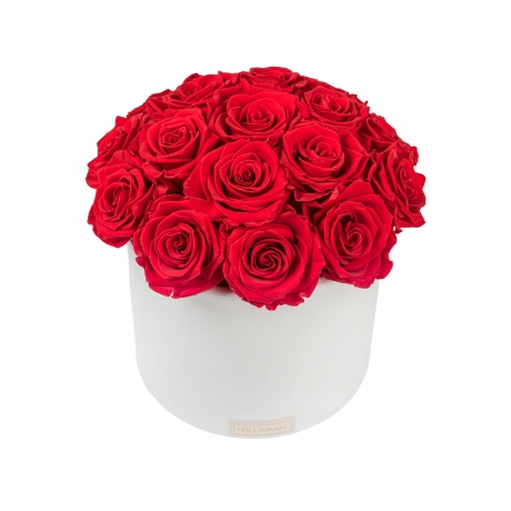 BOUQUET WITH 17 ROSES - WHITE CERAMIC POT WITH VIBRANT RED ROSES