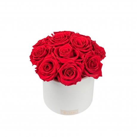 BOUQUET WITH 11 ROSES - WHITE CERAMIC POT WITH VIBRANT RED ROSES