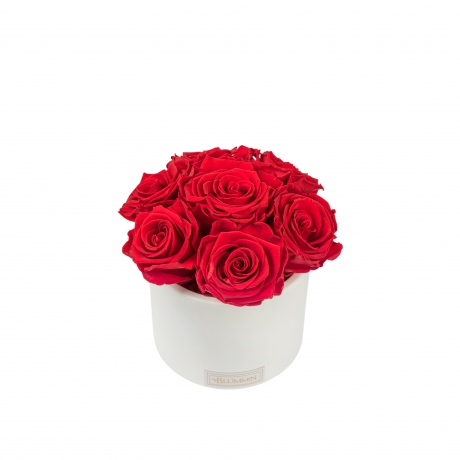 BOUQUET WITH 7 ROSES - WHITE CERAMIC POT WITH VIBRANT RED ROSES
