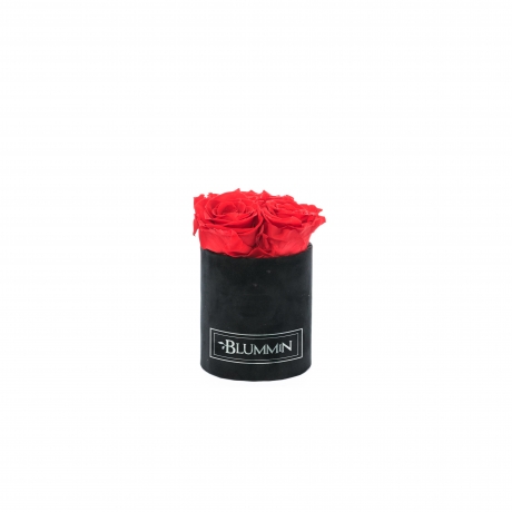 XS BLUMMIN - BLACK VELVET BOX WITH VIBRANT RED ROSES