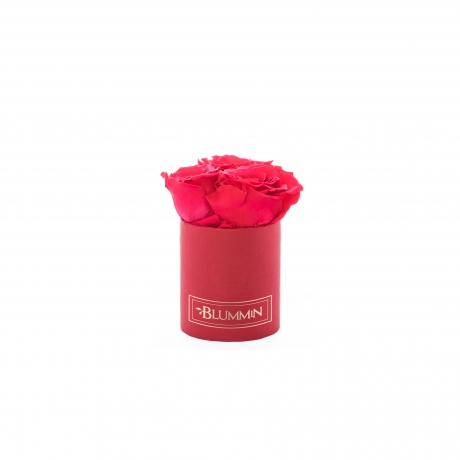 XS BLUMMIN - RED BOX WITH VIBRANT RED ROSES