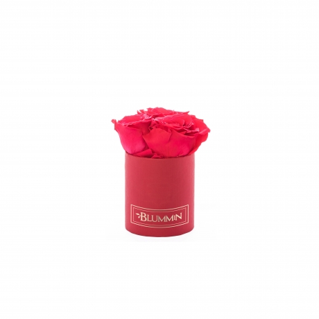 XS BLUMMiN - RED BOX WITH VIBRANT RED ROSES