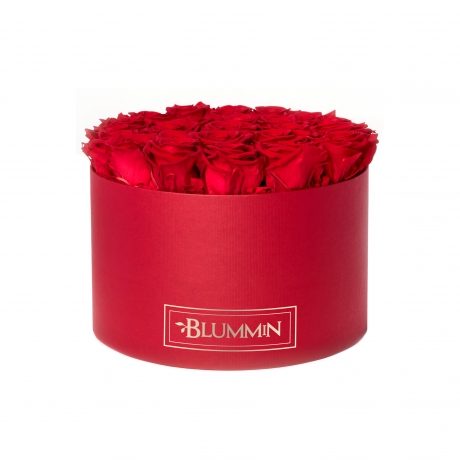 EXTRA LARGE BLUMMIN RED BOX WITH VIBRANT RED ROSES