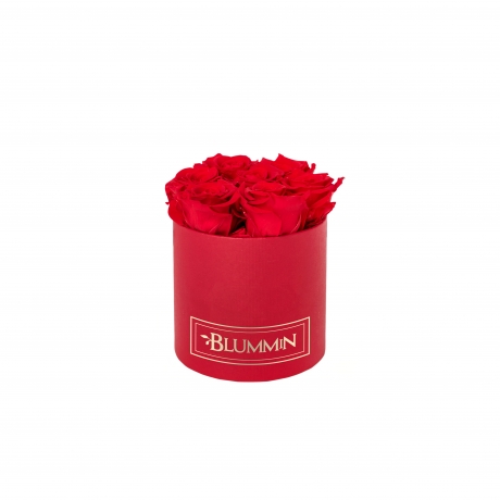 SMALL CLASSIC RED BOX WITH VIBRANT RED ROSES