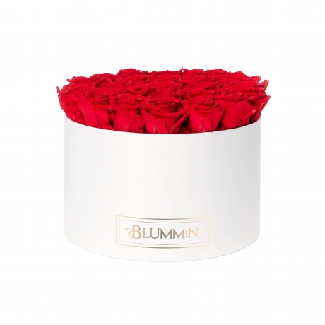 EXTRA LARGE CLASSIC WHITE BOX WITH VIBRANT RED ROSES