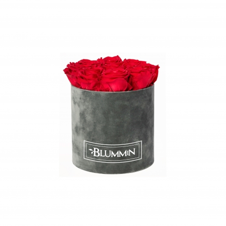  MEDIUM BLUMMIN DARK GREY VELVET BOX WITH VIBRANT RED ROSES