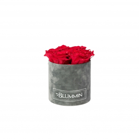 SMALL VELVET DARK GREY BOX WITH VIBRANT RED ROSES