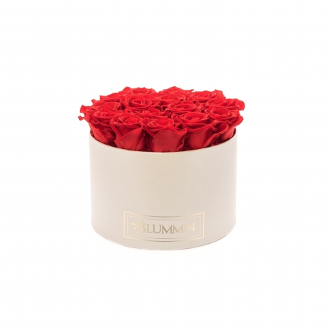 LARGE BLUMMIN CREAM WHITE BOX WITH VIBRANT RED ROSES