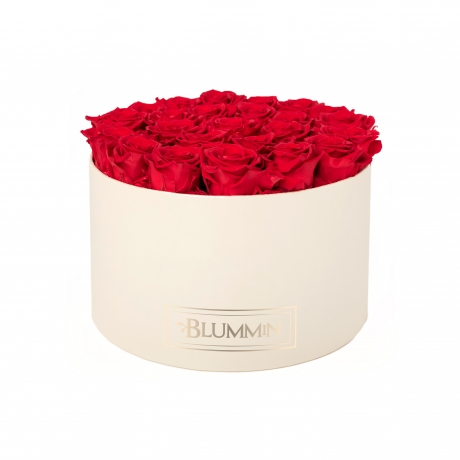 EXTRA LARGE BLUMMiN CREAM BOX WITH VIBRANT RED ROSES