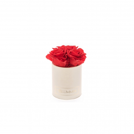XS BLUMMIN CREAMY BOX WITH VIBRANT RED ROSES