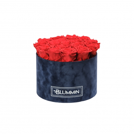 LARGE  DARK BLUE VELVET BOX WITH VIBRANT RED ROSES