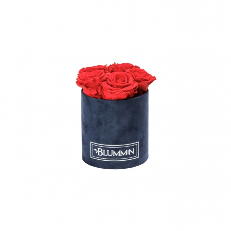 MIDI BLUMMIN DARK BLUE VELVET BOX WITH VIBRANT RED ROSES