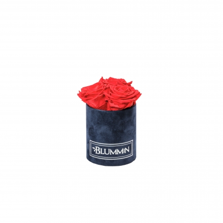 XS BLUMMIN DARK BLUE VELVET BOX WITH VIBRANT RED ROSES