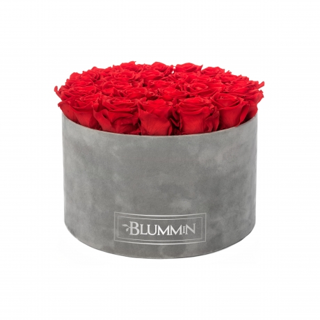 EXTRA LARGE VELVET LIGHT GREY BOX WITH VIBRANT RED ROSES