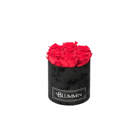 SMALL VELVET BLACK BOX WITH VIBRANT RED ROSES