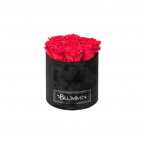 MEDIUM VELVET BLACK BOX WITH VIBRANT RED ROSES