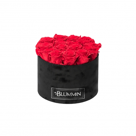 LARGE BLUMMIN - BLACK VELVET BOX WITH VIBRANT RED ROSES