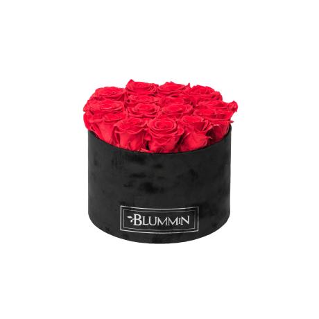 LARGE BLUMMIN - BLACK VELVET BOX WITH VIBRANT RED ROSES