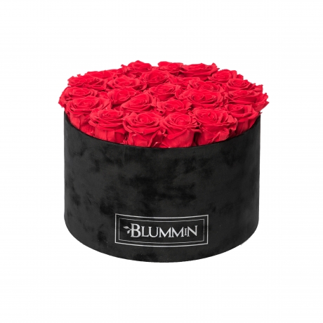 XL BLUMMiN - VELVET BLACK BOX WITH VIBRANT RED ROSES
