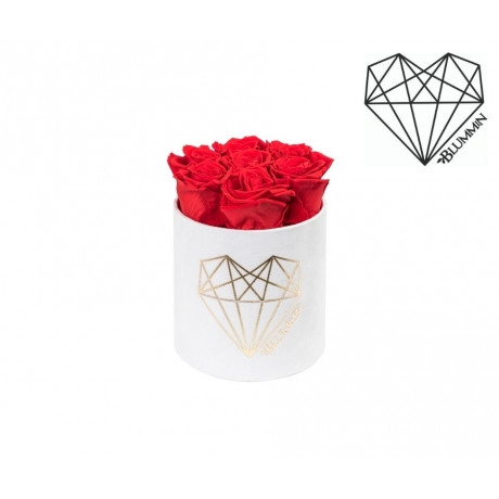 SMALL LOVE - WHITE VELVET BOX WITH VIBRANT RED ROSES