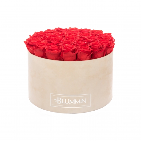 EXTRA LARGE BLUMMIN NUDE VELVET BOX WITH VIBRANT RED ROSES